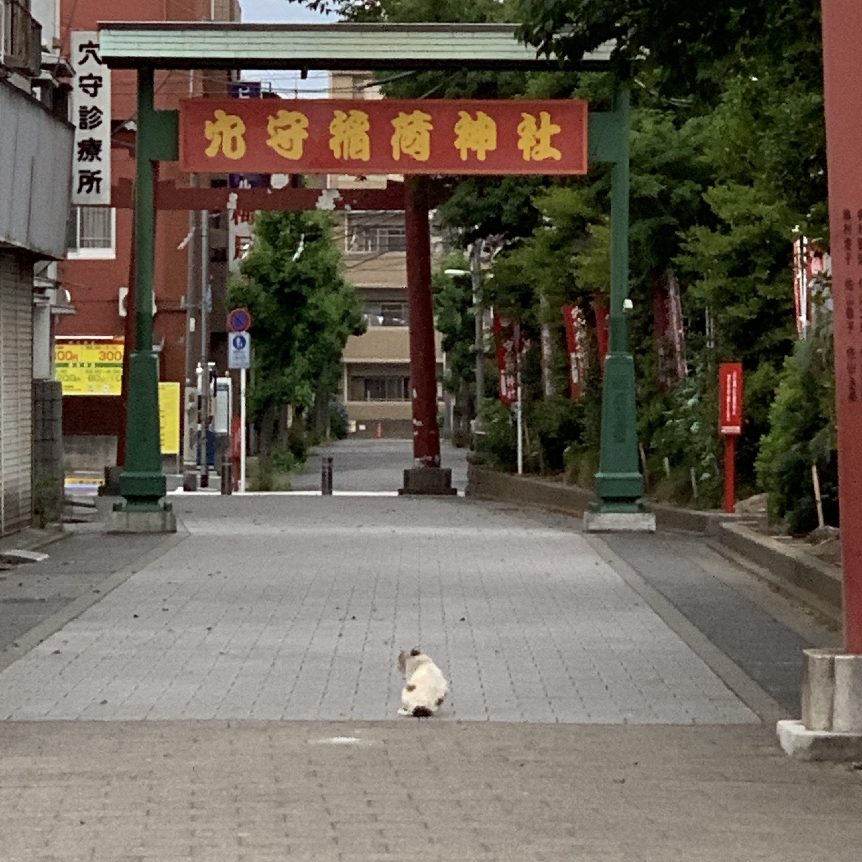 恋愛上手