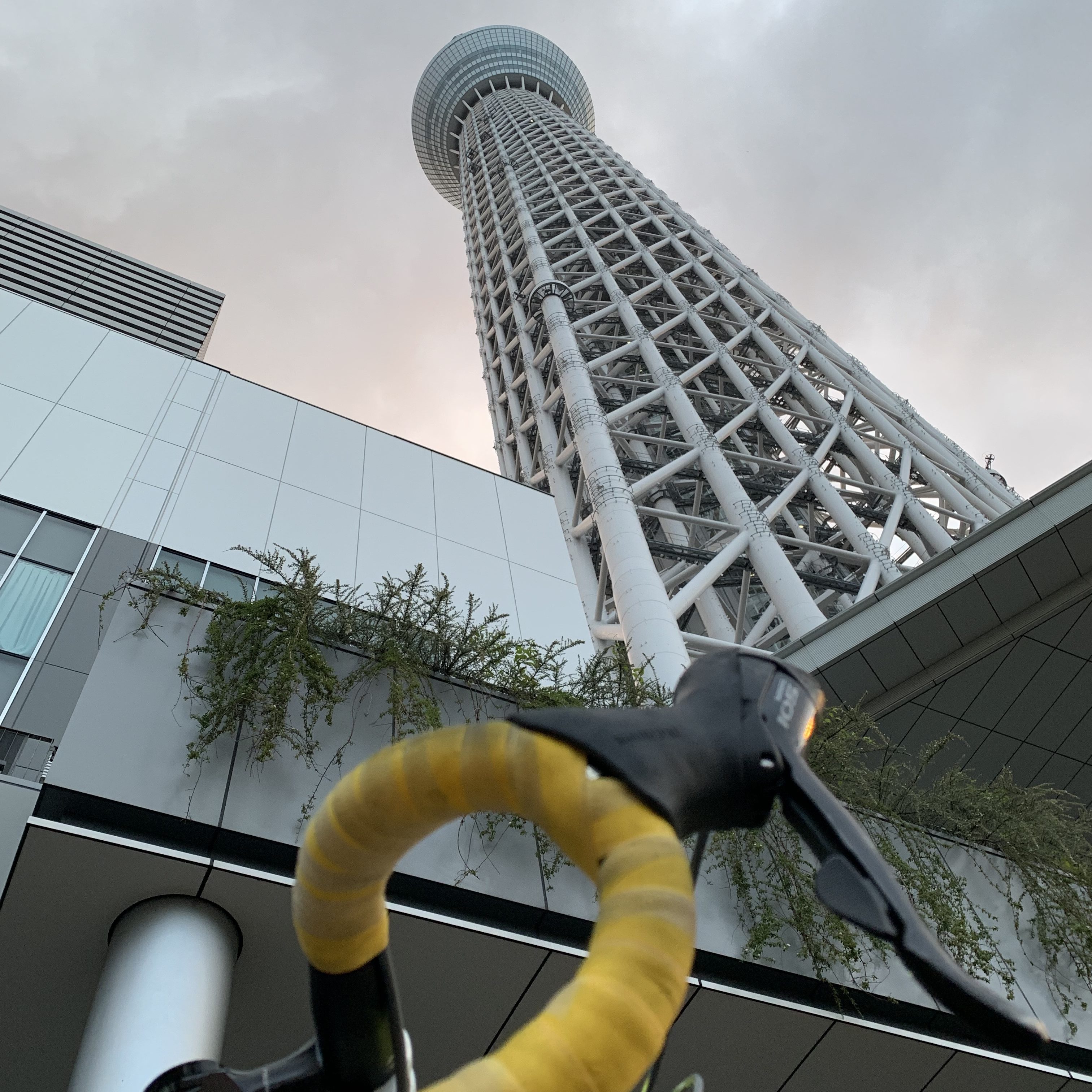 愛に飢えたら
