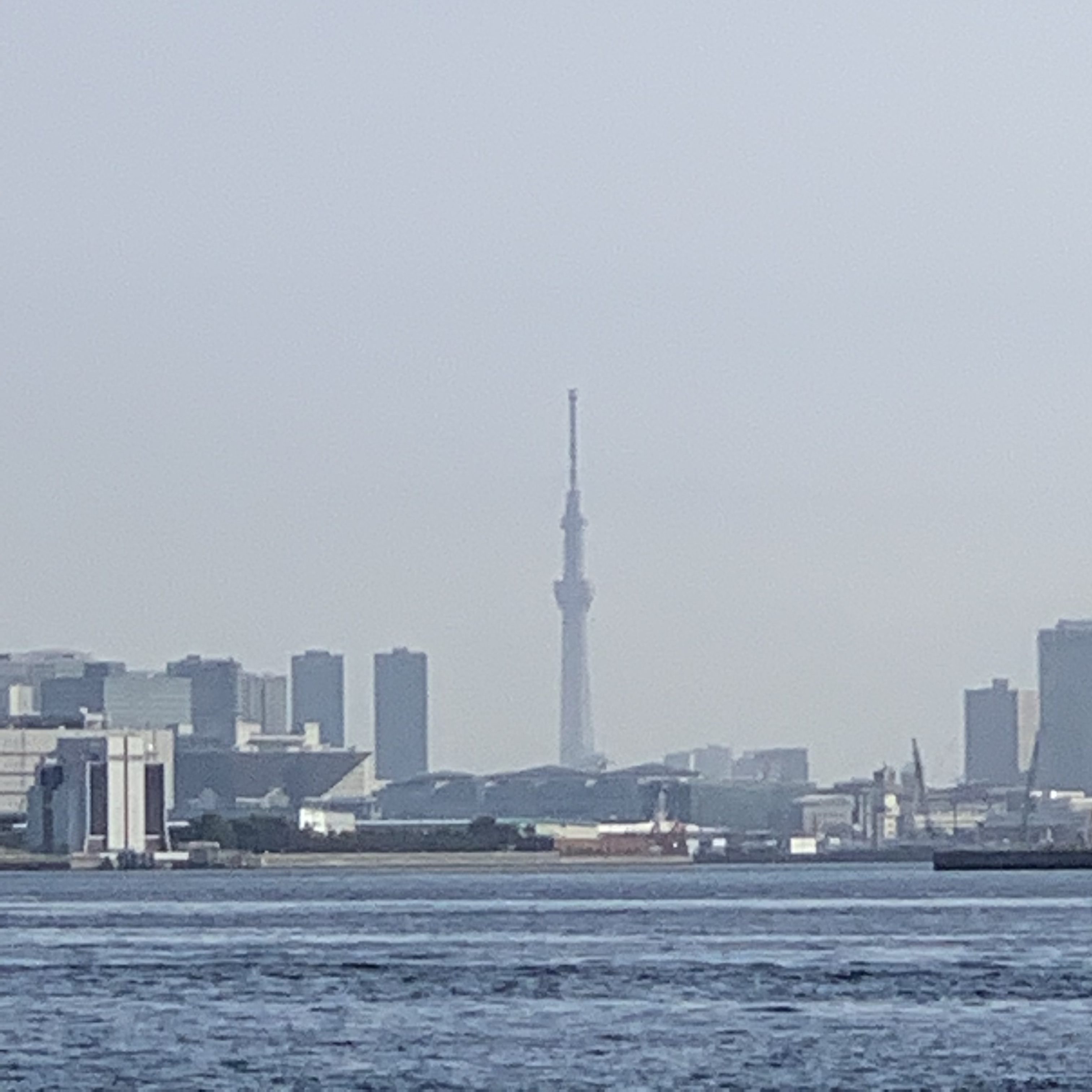 くびれ美人