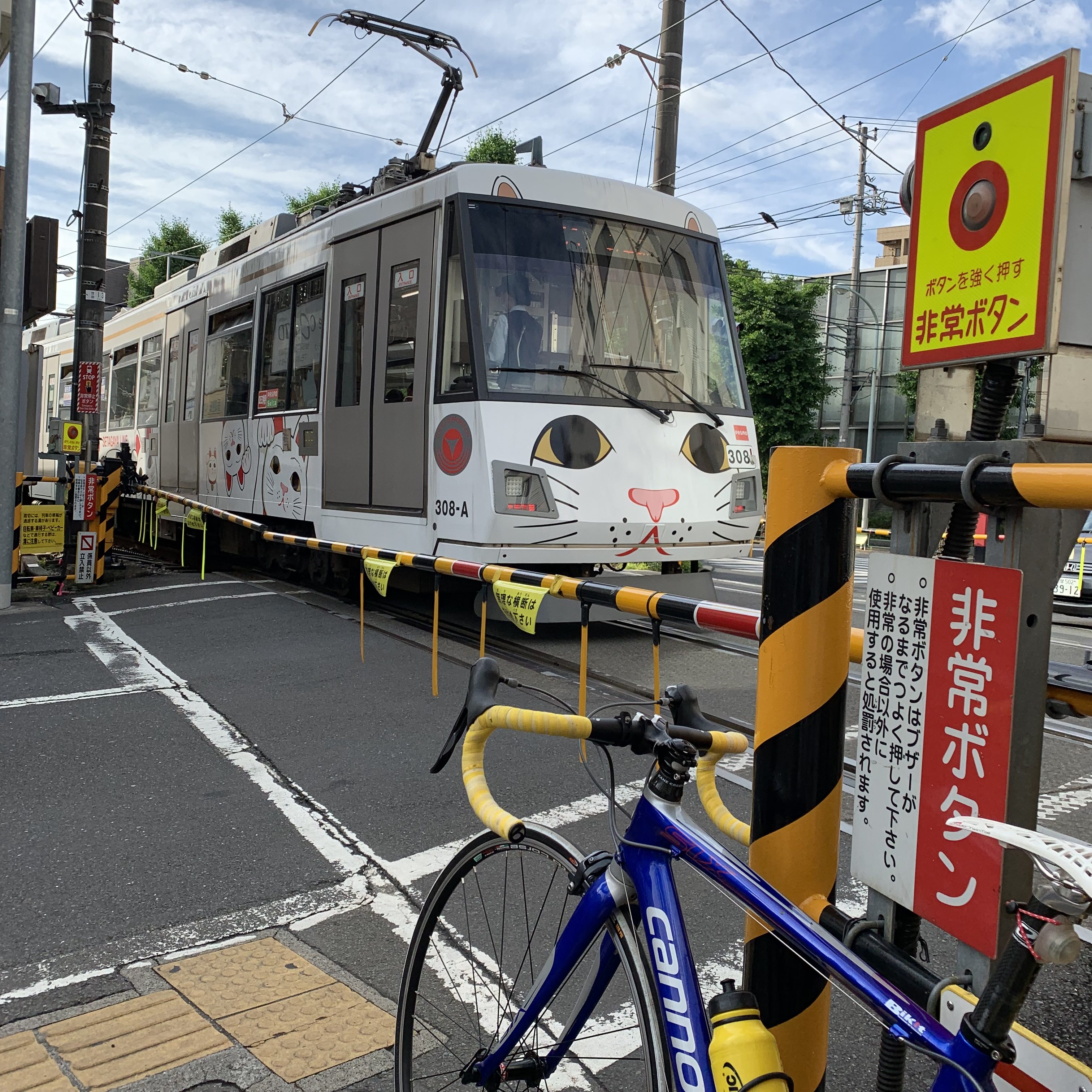 あざとく