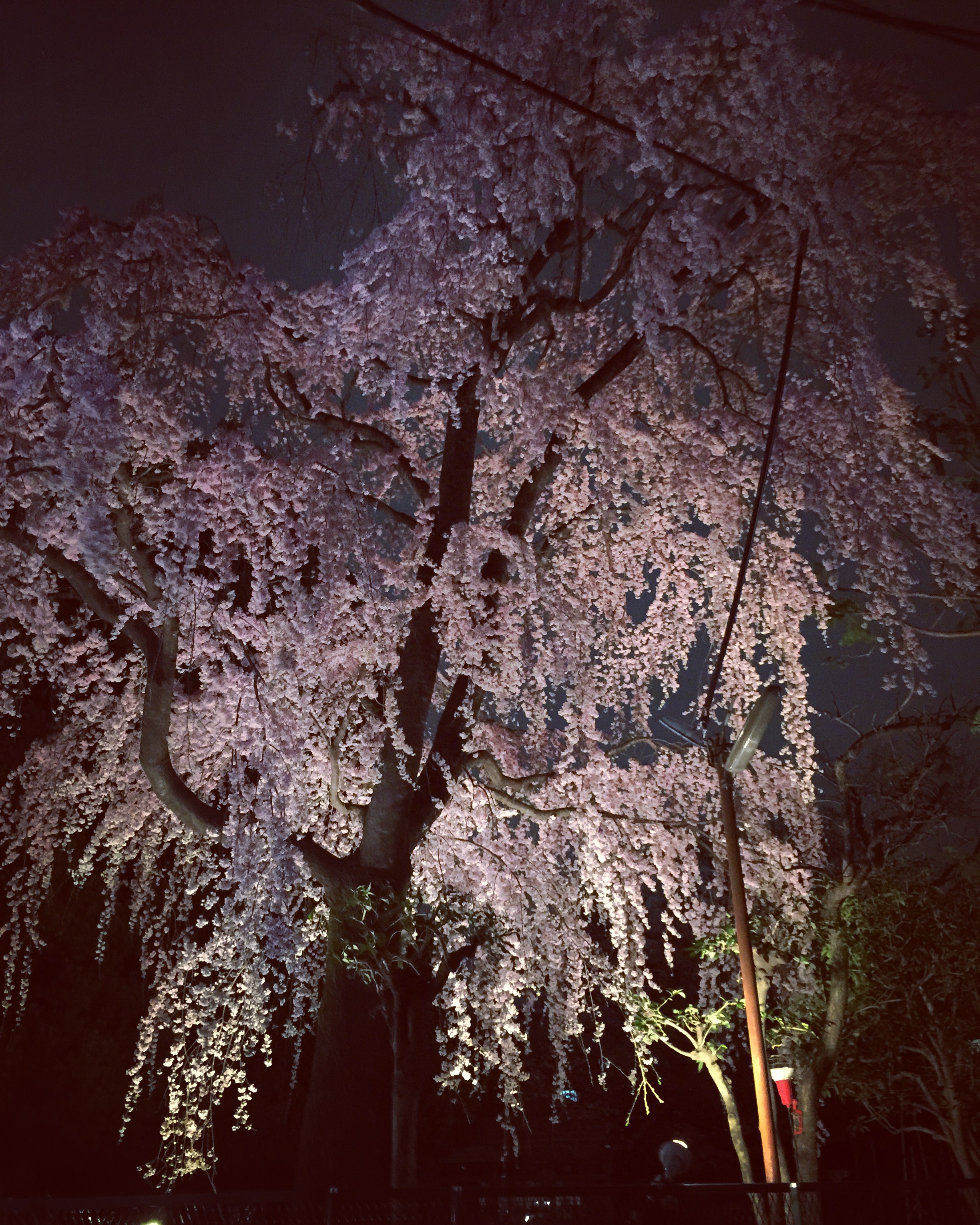下腹部