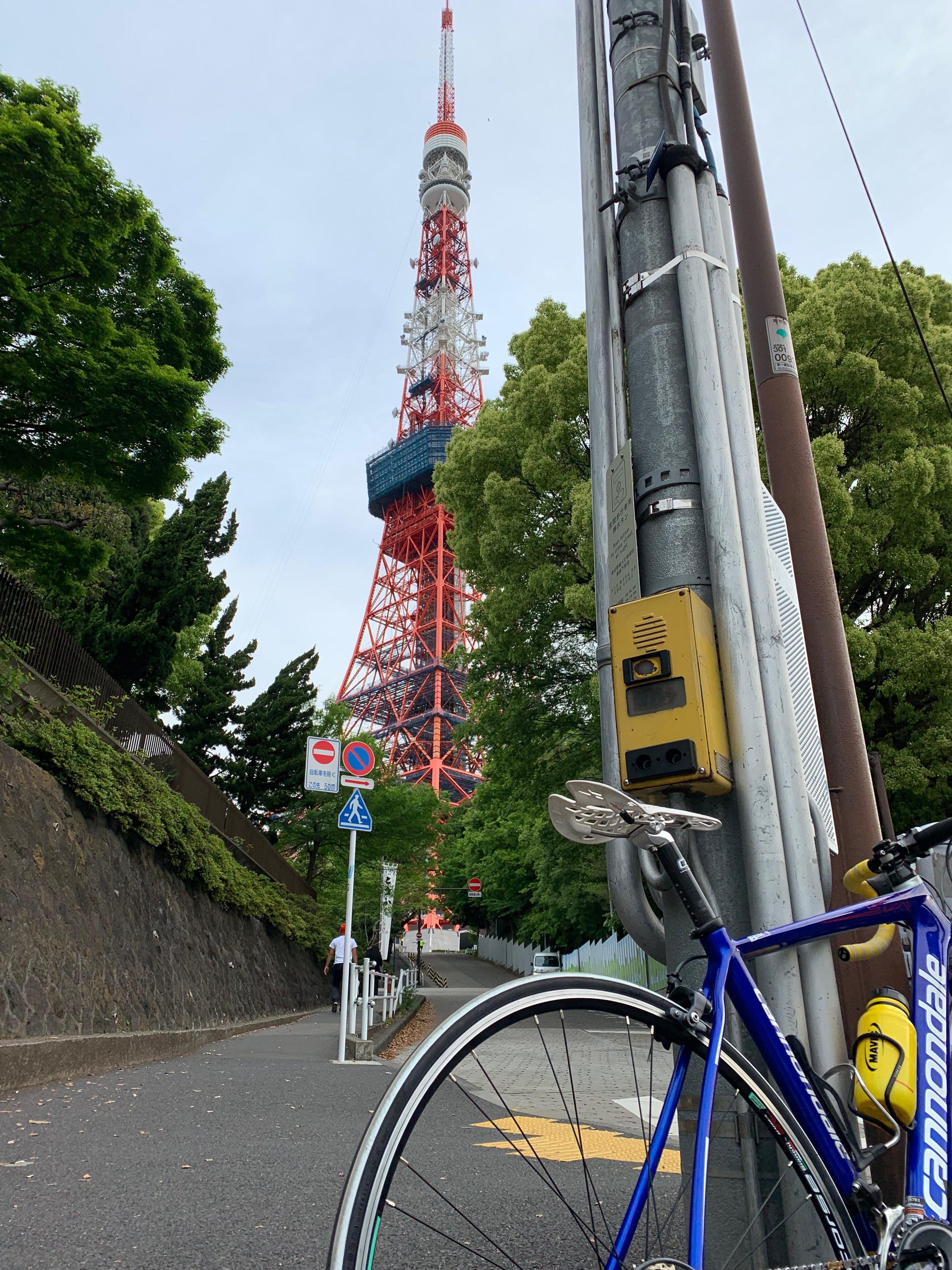 くびれ