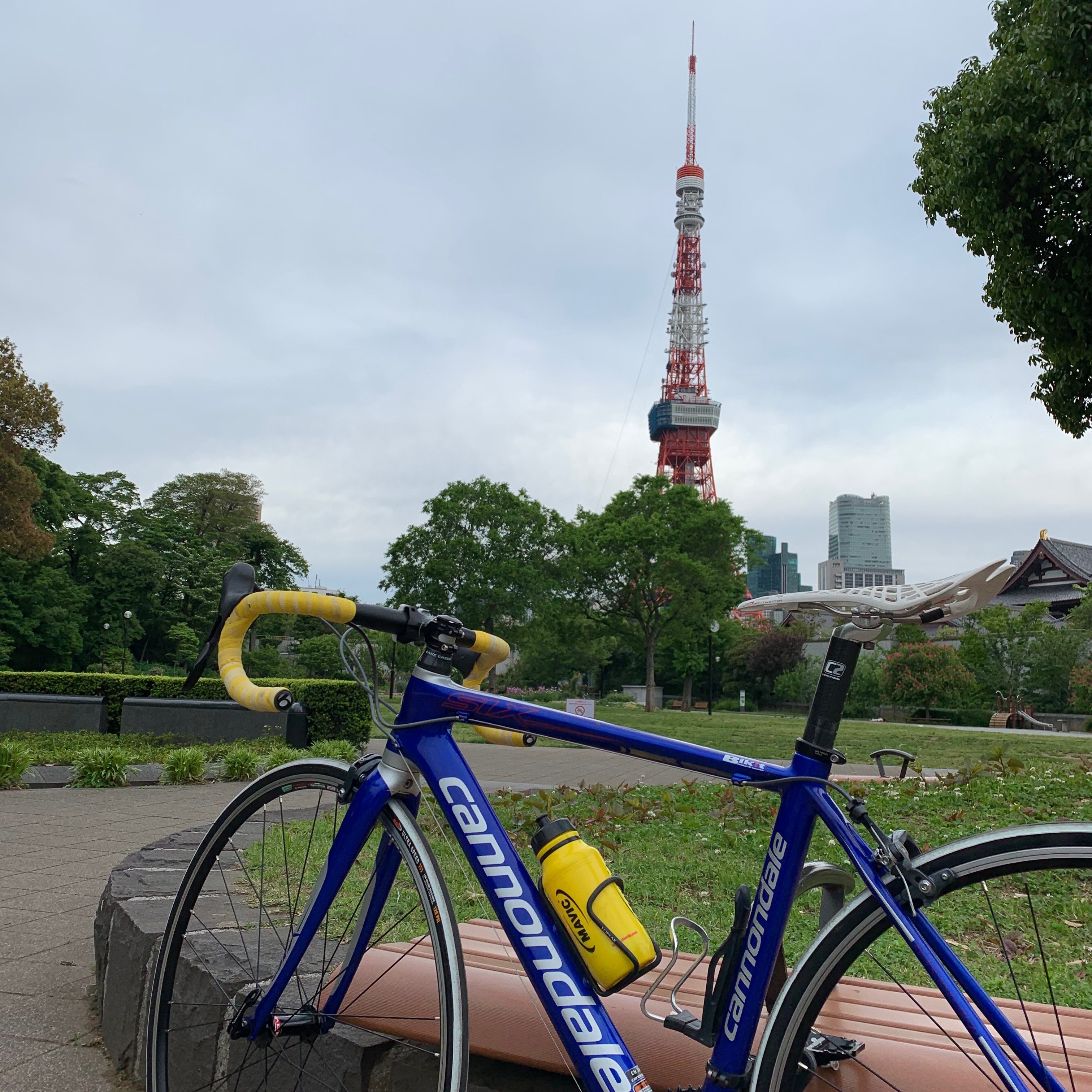 くびれ女子