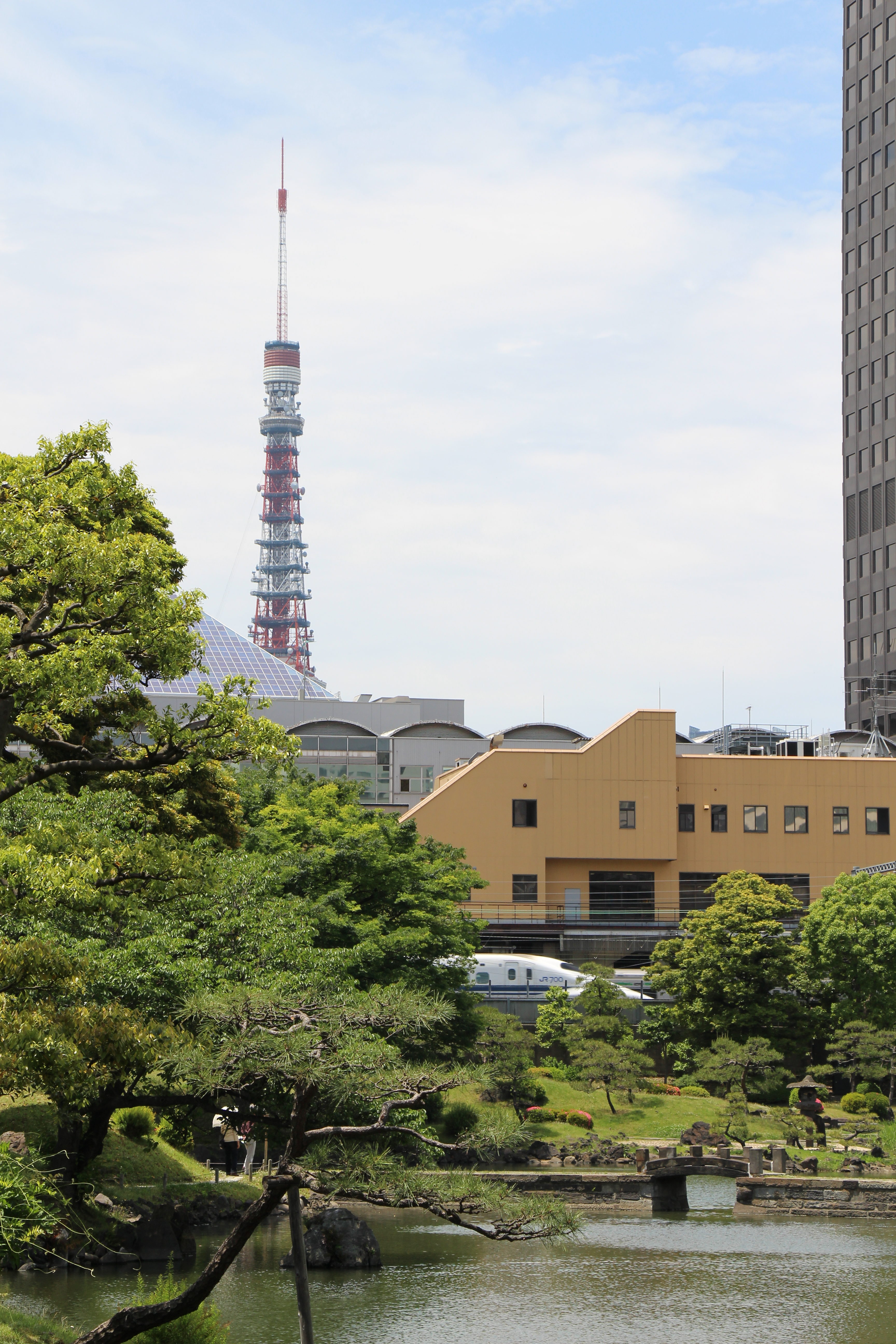 若返り