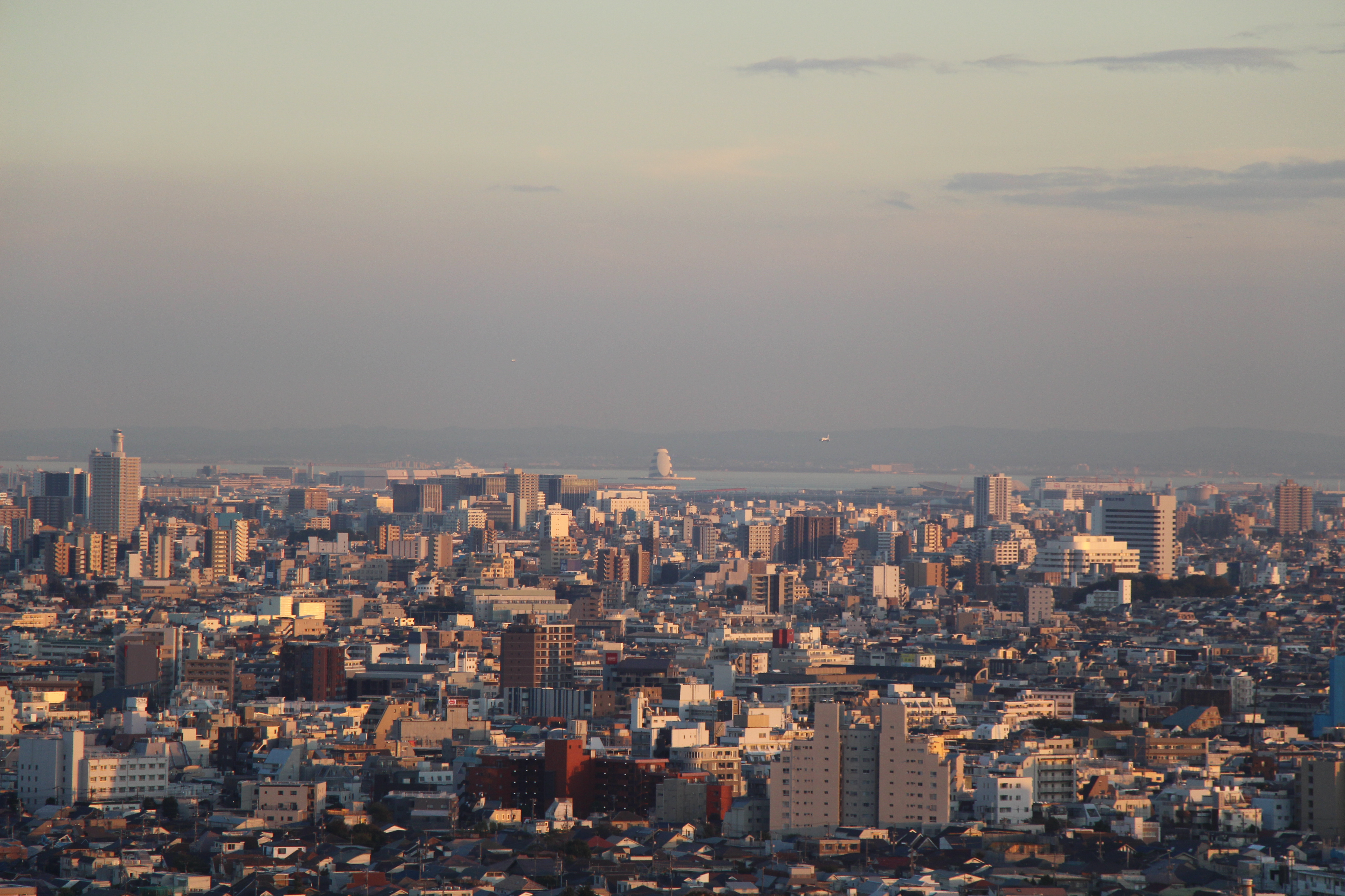 お尻