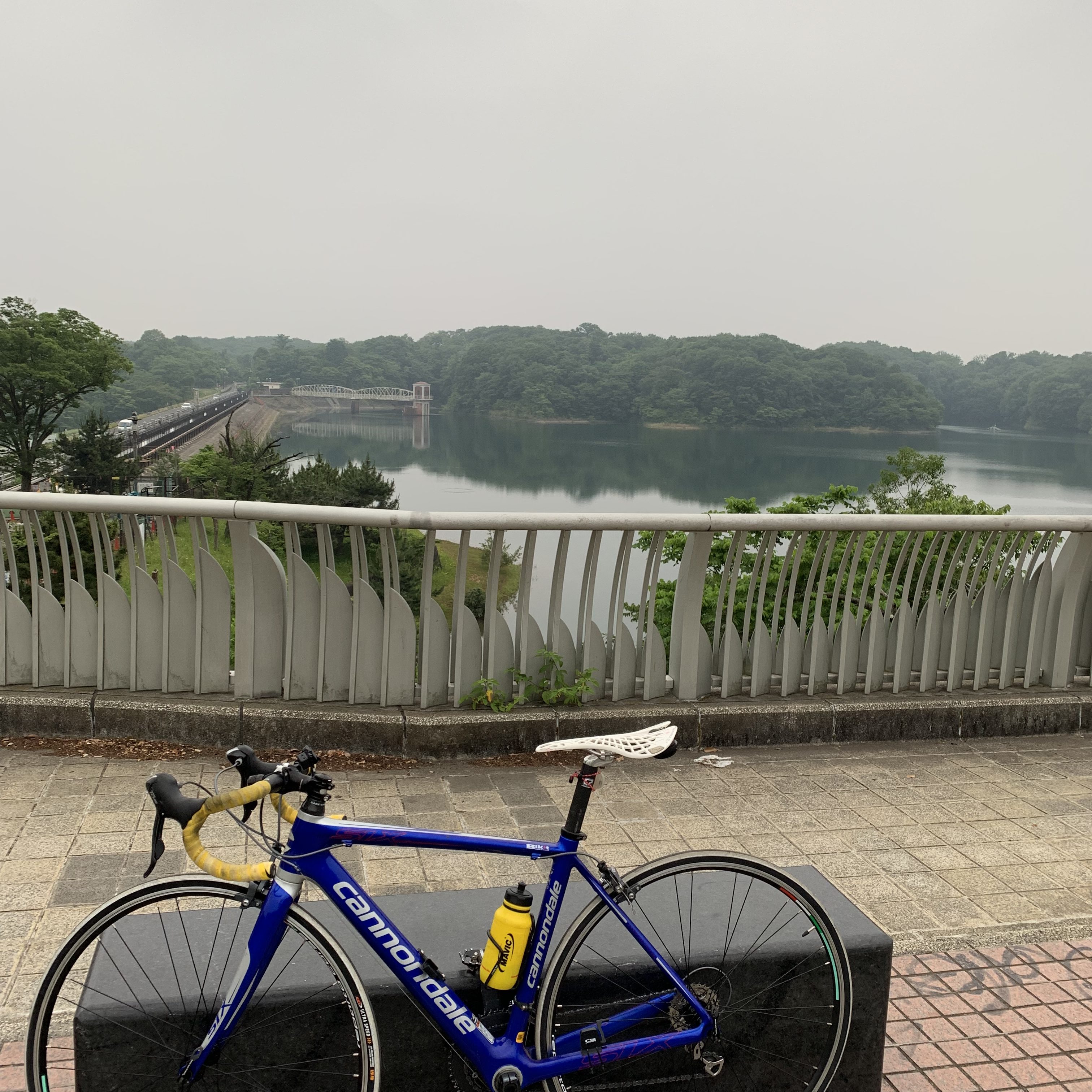 和み系
