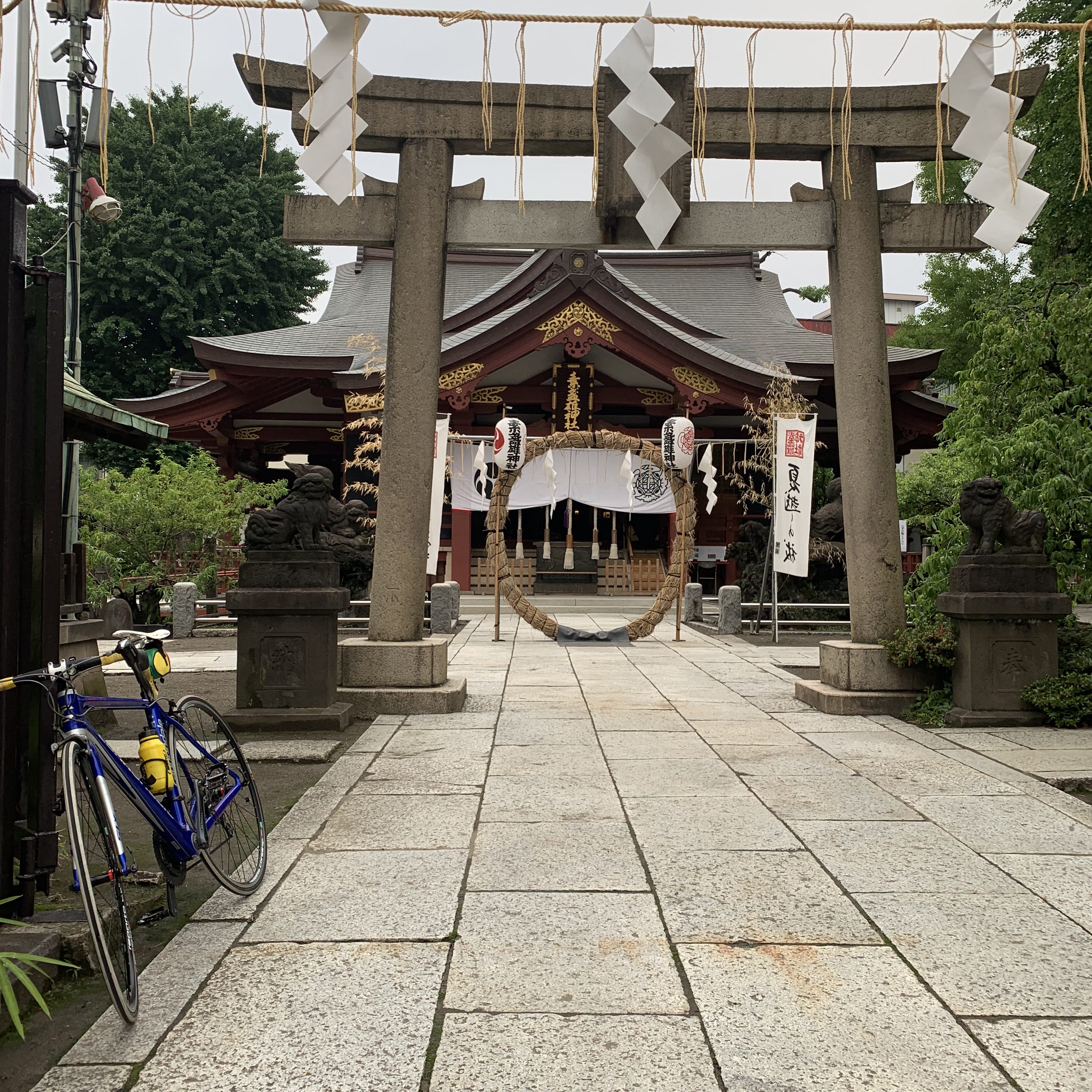 9月終了