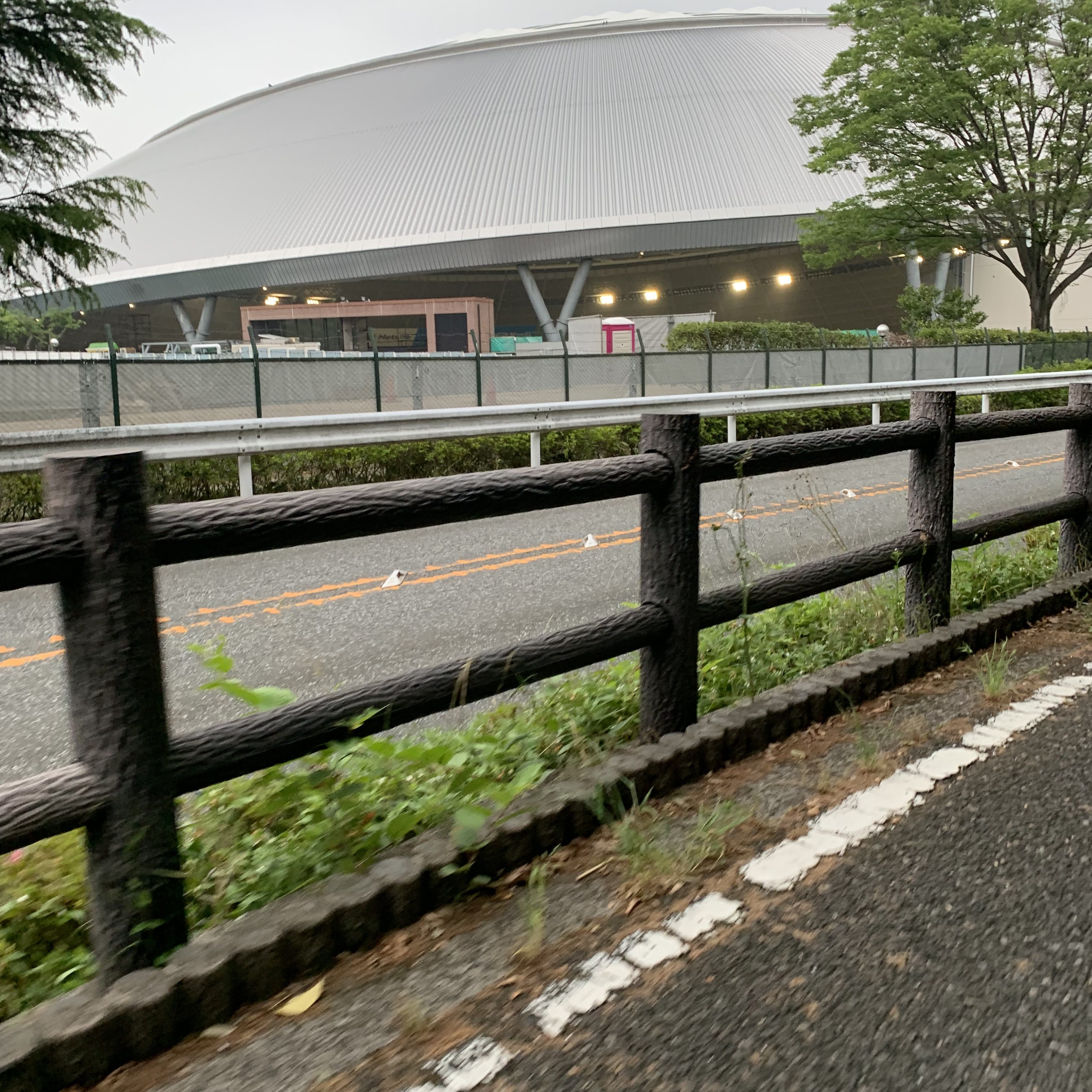 理想の彼氏
