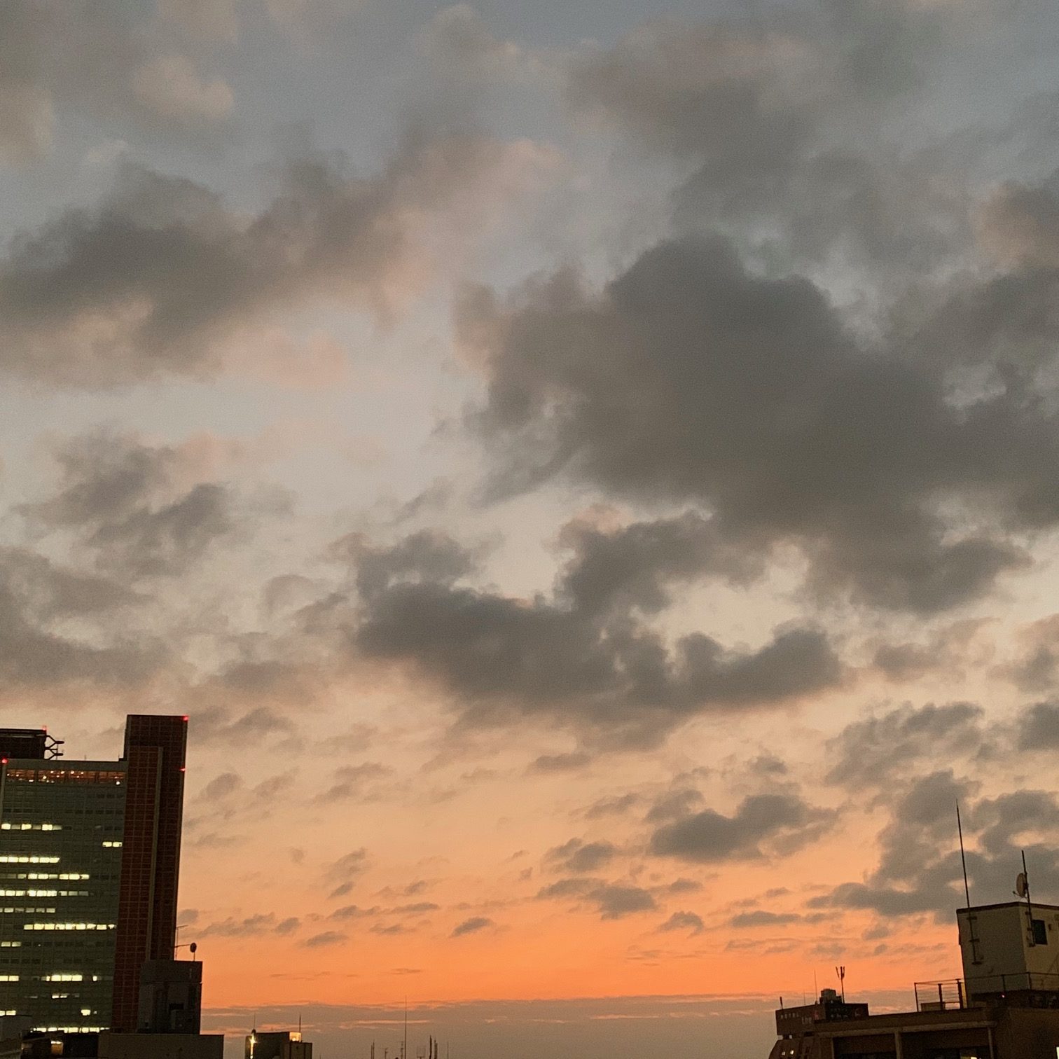 バストマッサージ