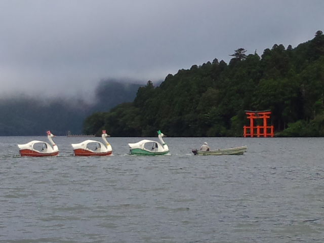 コスパキャンペーン