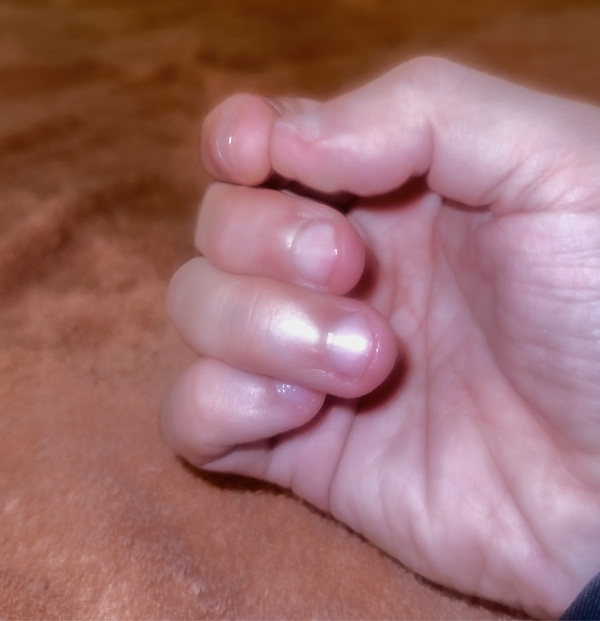 あとふどっとこむ口コミ2025