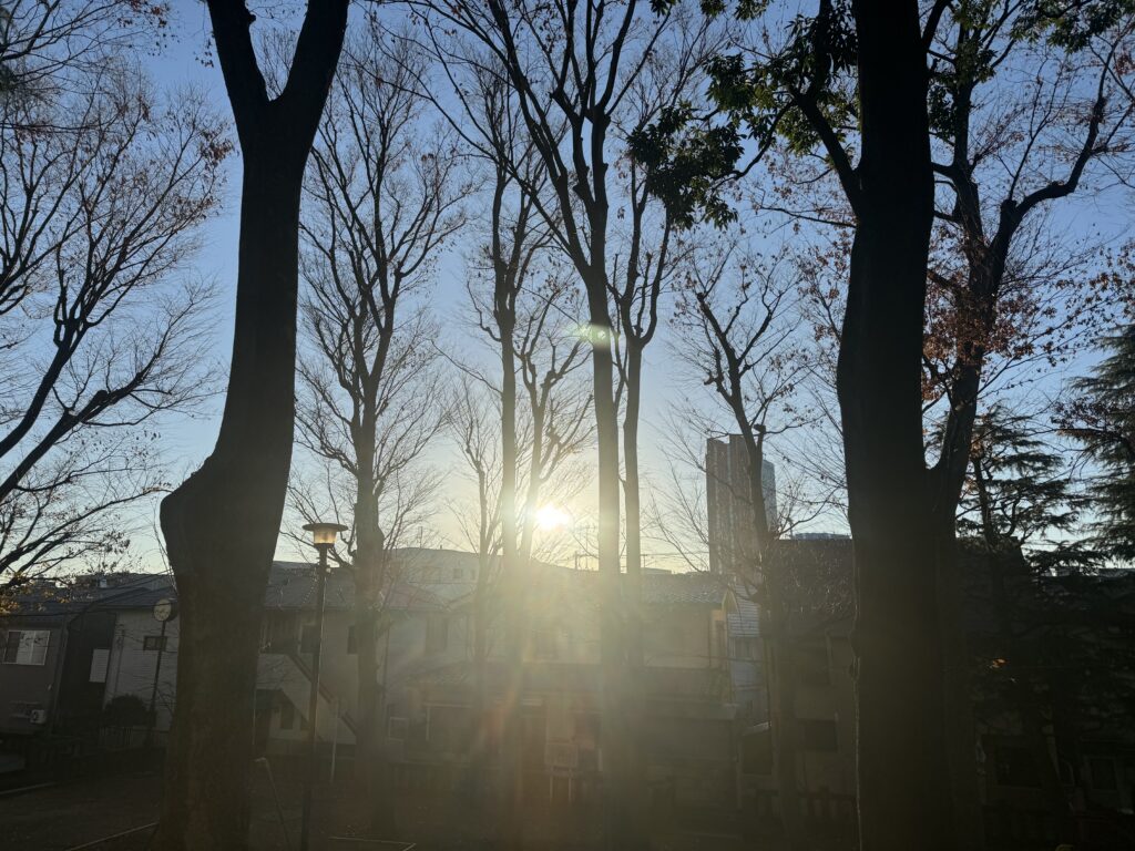 初日の出